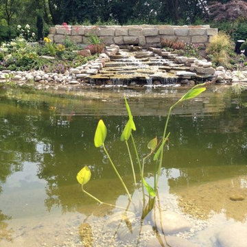 Wasser im Garten
