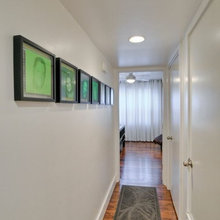pictures