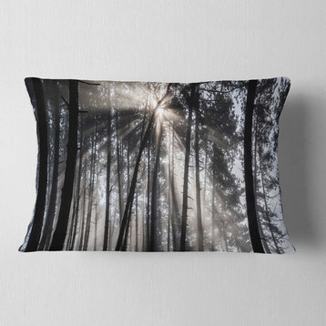 Sunbeams through Black White Forest Forest Throw Pillow, 12"x20"