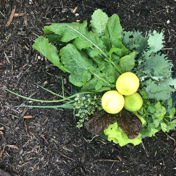 Edible Landscapes