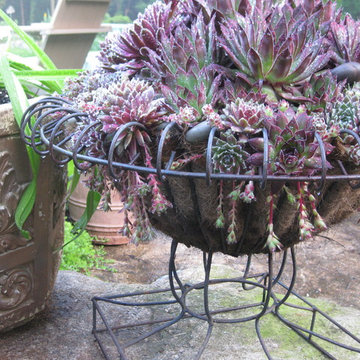 My Garden