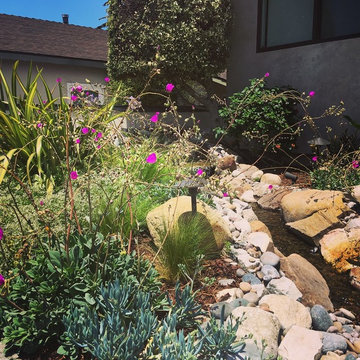 Modern Meadow