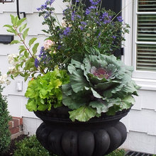 Landscape Ideas