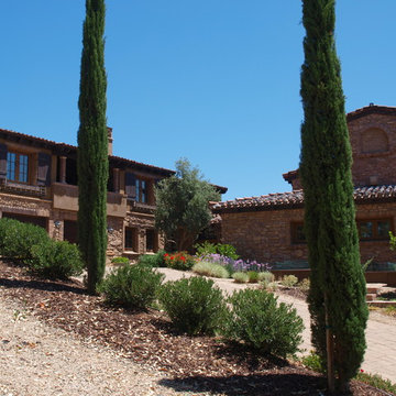 Wine Country