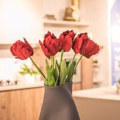 Mobila Magica's photo
