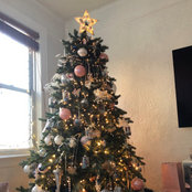 Kiana-Maria's photo