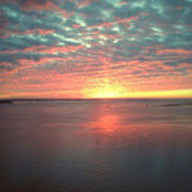Donna Naeser's photo