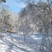 Brandy Taylor's photo