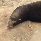 Jaime Bates's photo