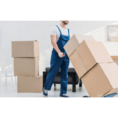 direlco packers and movers