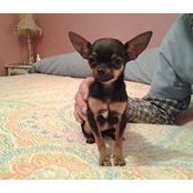 Geraldine Adkins's photo