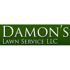 Damon's Lawn Service LLC