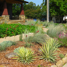 Flowerbeds