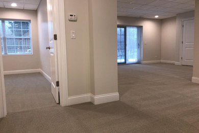 Mid-sized transitional walk-out carpeted and gray floor basement photo in Chicago with gray walls