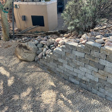 North side yard