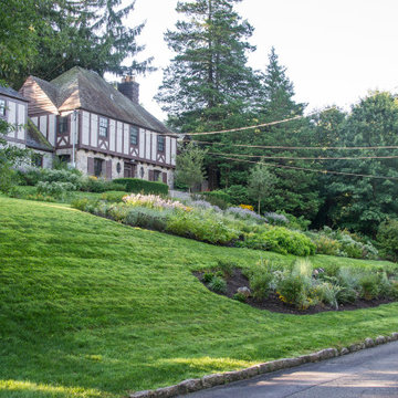 Terraced Native Habitat