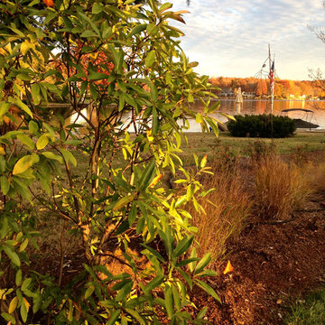 Lake near Fredericksburg, VA: Plant&Sustain for Clean Water