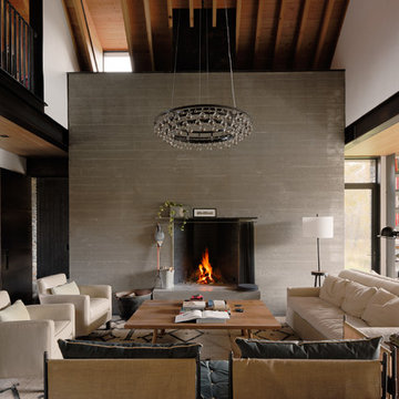 Contemporary Living Room