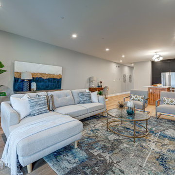 2448 W Diversey - New Construction Development