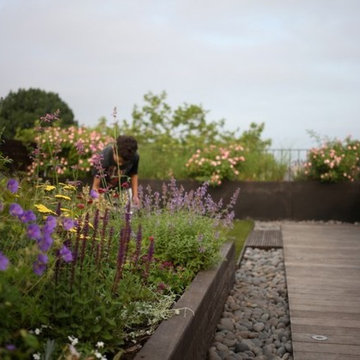 Brooklyn Rooftop Garden