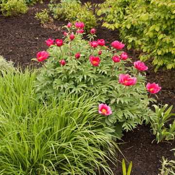 Mulches - Colored Mulch - Leaf Mulch