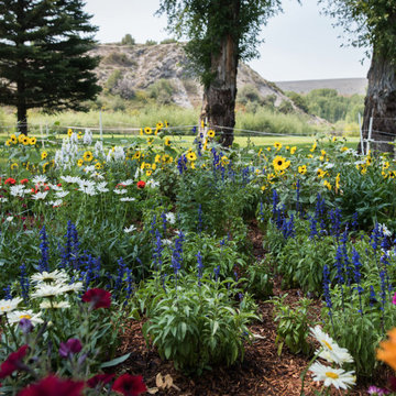 Design - Build Landscape Blue Valley Ranch Landscaping
