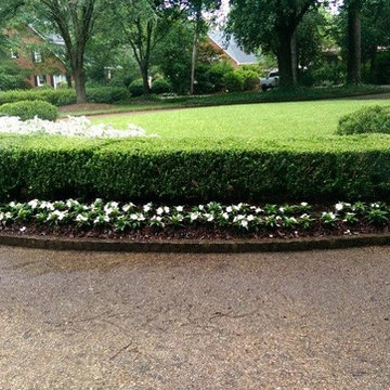 Our Work