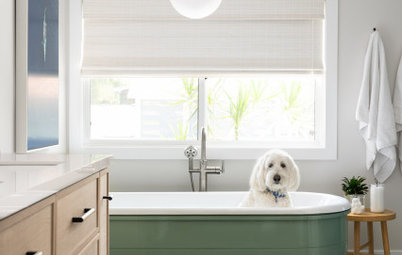 26 Tricked-Out Pet-Washing Stations for Pampered Pooches