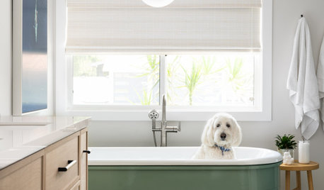 26 Tricked-Out Pet-Washing Stations for Pampered Pooches