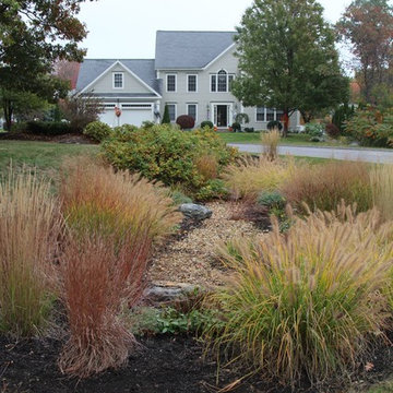 The grasses really shine in the fall.
