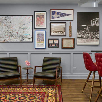 Naperville Curated Basement Bar