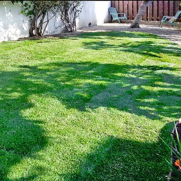 Backyard Sod Installation