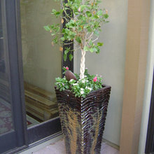 Patio Ideas