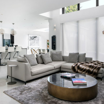 Contemporary Living Room