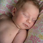 Melissa Woods's photo