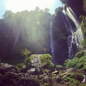 Gareth Clark's photo