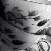 Foto di Emily Metcalfe