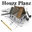 Building Design and Drafting Freelancer