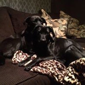 Tracey Burns's photo