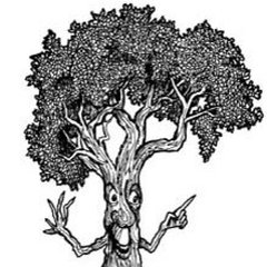 M R Tree Services