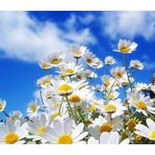 Jayne Bishop's photo