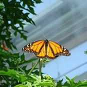 Larisa Stevenson's photo