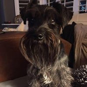 Melanie Wingate's photo