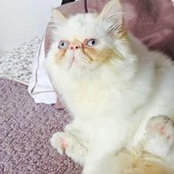Dora Ferreira's photo