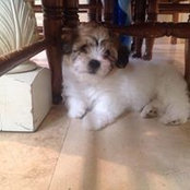 Anays Porras's photo