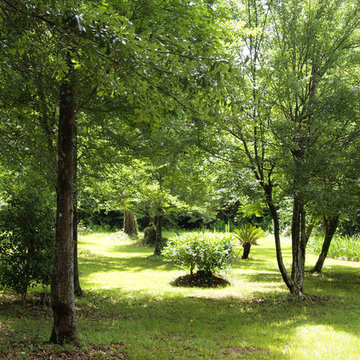 My Houzz: Rural Home in Louisiana