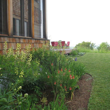 Plants