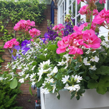 Container Pot Gardens