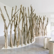 wall