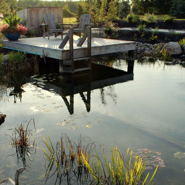 Gilmour Natural Swim Pond
